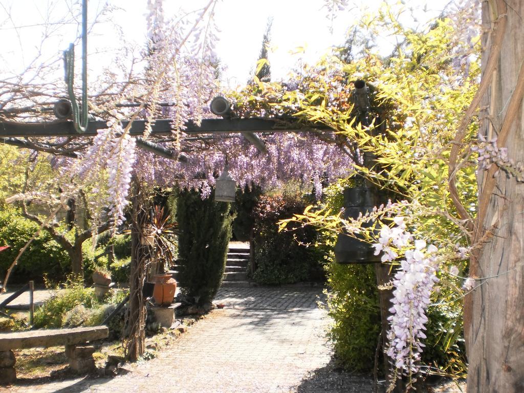 Casa Do Redondo Bed & Breakfast Rabacal Ngoại thất bức ảnh